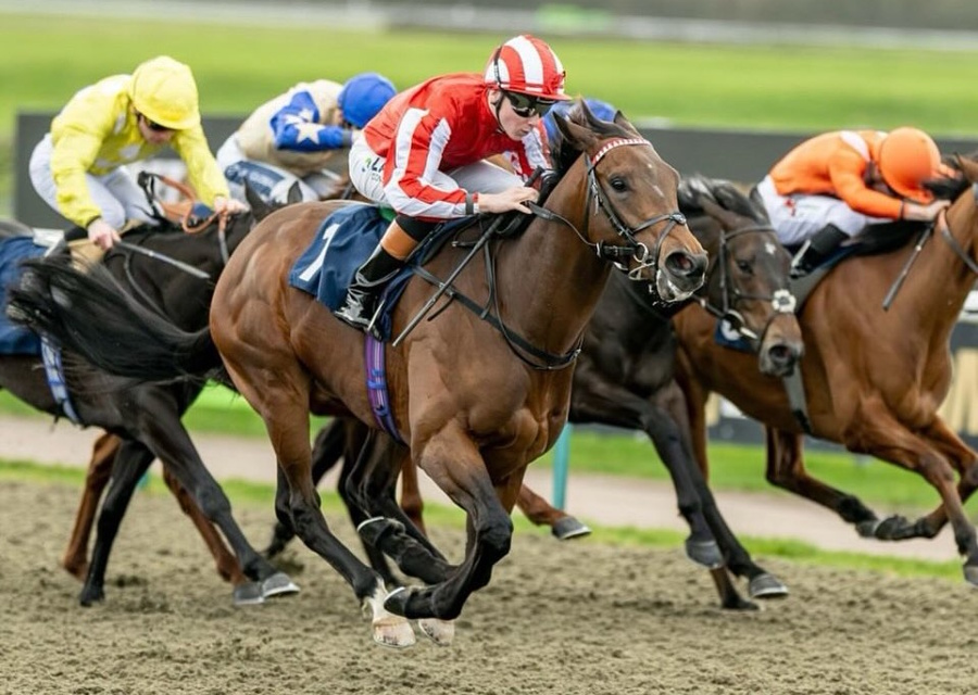 Stakes Winner for UBETTABELIEVEIT