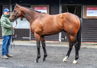 Ubettabelieveit, Value Sire