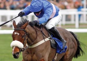 Libberty Hunter 2nd at Cheltenham