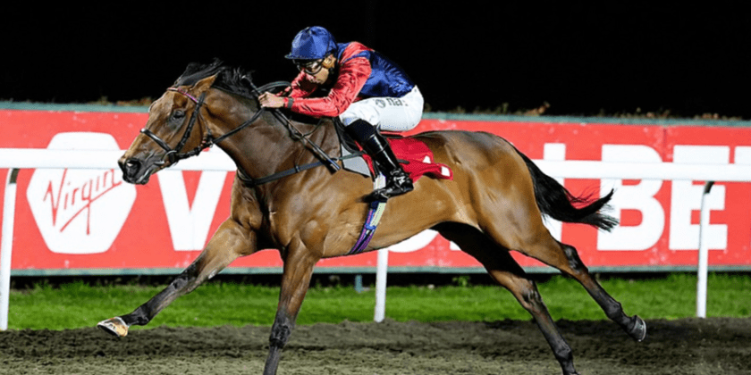 Another Massaat Winner