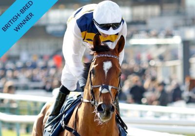 DOCKLANDS wins the Doncaster Mile