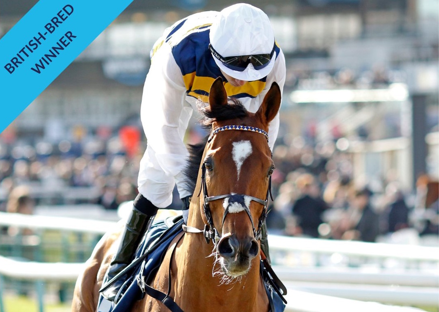 DOCKLANDS wins the Doncaster Mile