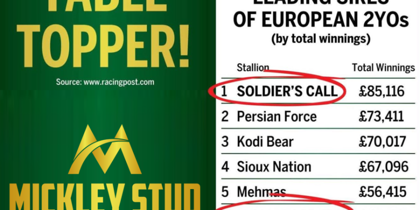 Mickley Stud Top Earners!