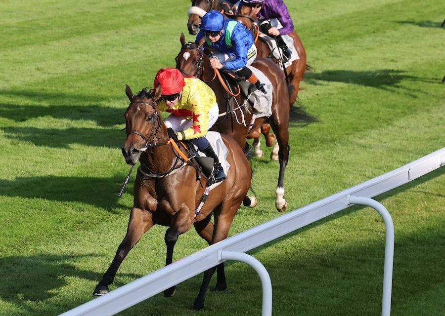 Soldier’s Call 2yo Winner