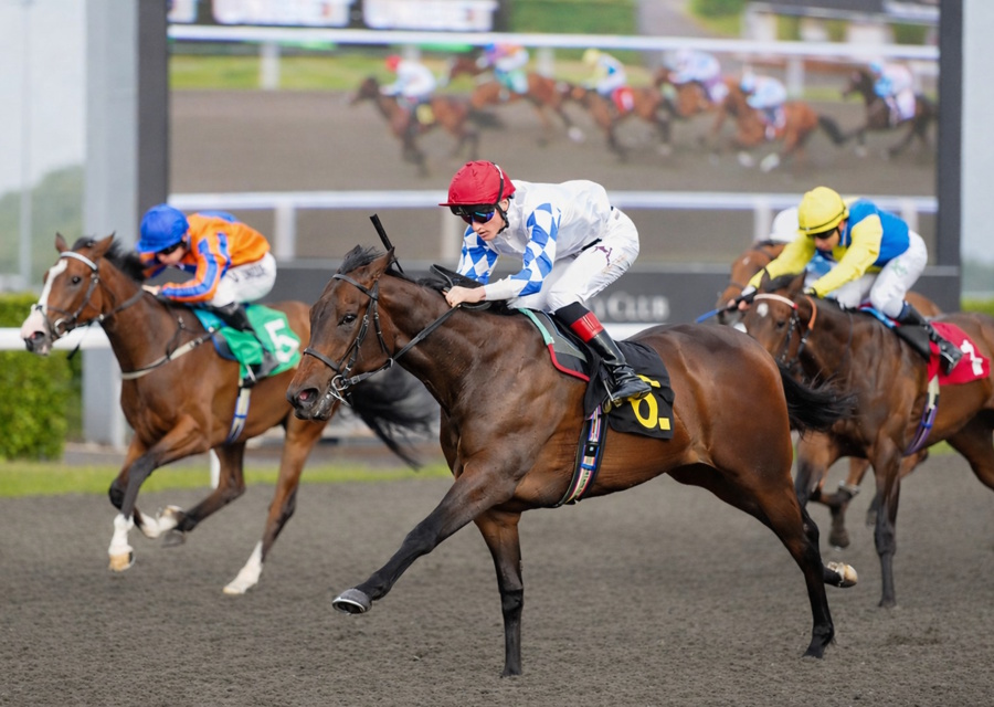 Another Ubettabelieveit 2yo Win