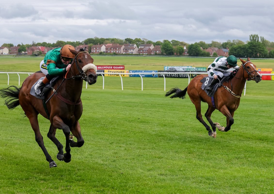 Winner at Ayr for Soldiers Call