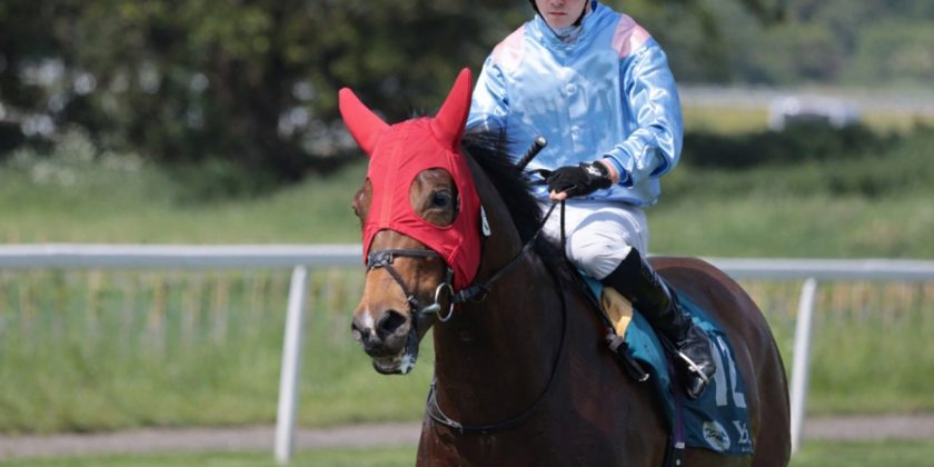 Soldiers Call Winner at York