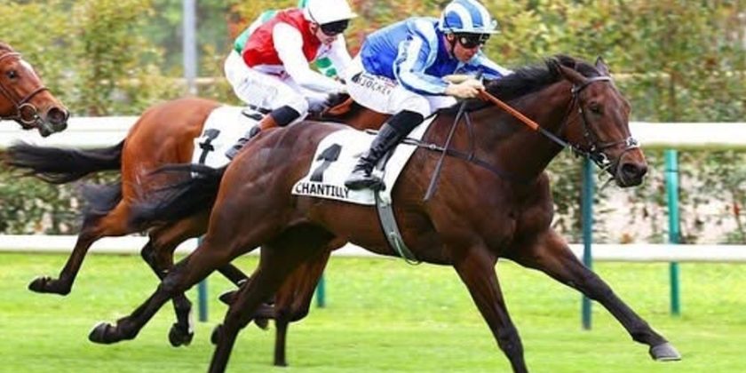Listed Winner for Ubettabelieveit