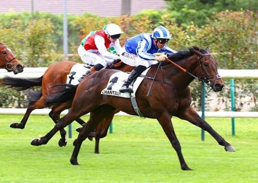 Listed Winner for Ubettabelieveit