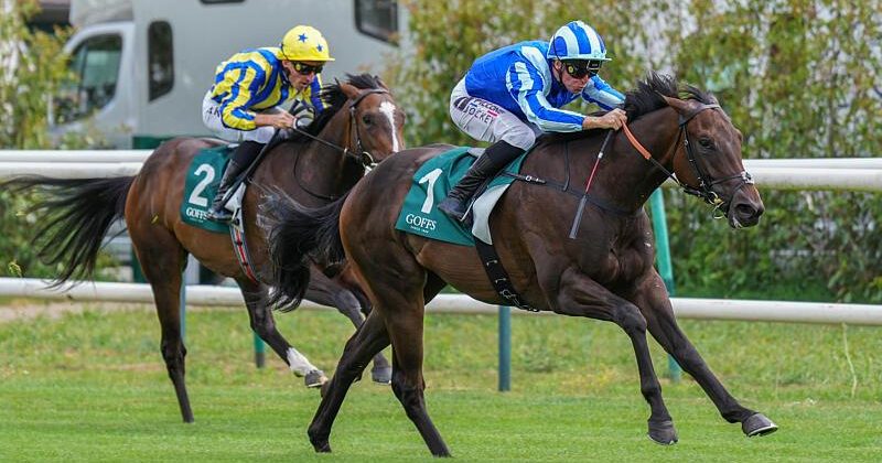 Gr.2 winner for UBETTABELIEVEIT