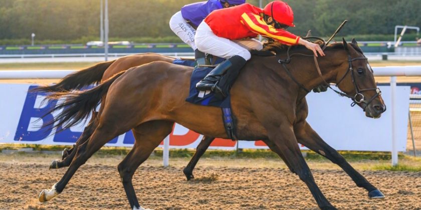 Massaat 3yo Winner